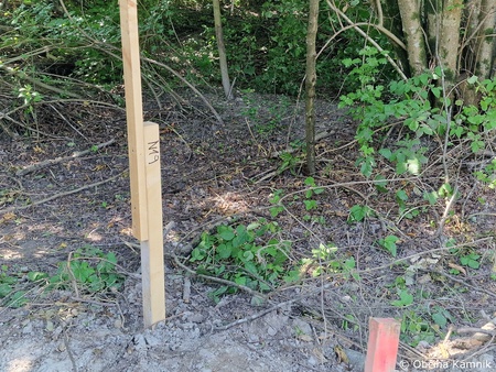Izgradnja protipoplavnega nasipa Šmarca-Nožice – etapa 1 (13)